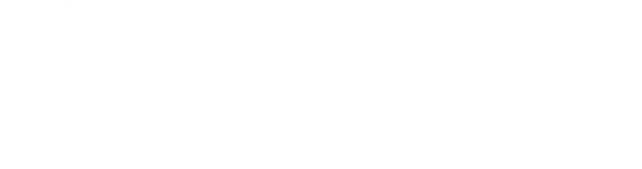 SS_LOGO_2024_MASTER_WHITE-1